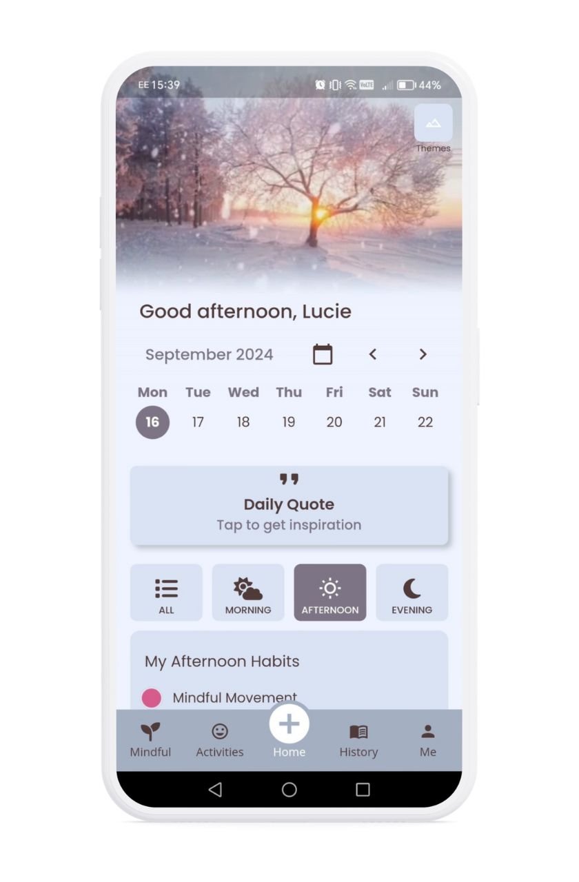 Risefully app showcasing the Snow fields theme.